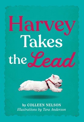 Harvey Takes the Lead 1