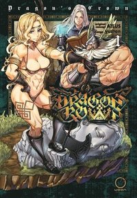 bokomslag Dragon's Crown Vol.1