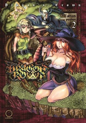 bokomslag Dragon's Crown Volume 2