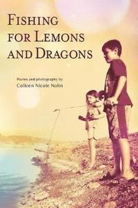 bokomslag Fishing for Lemons and Dragons