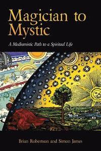 bokomslag Magician to Mystic