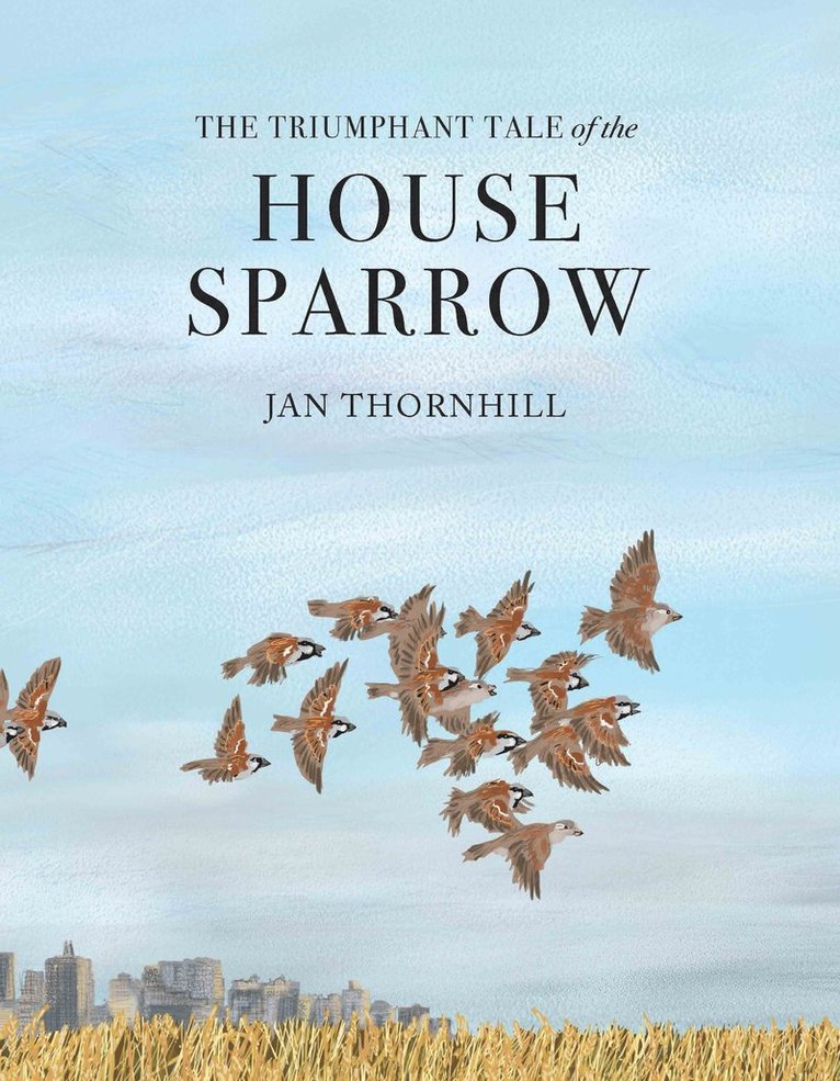 Triumphant Tale of the House Sparrow