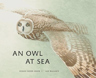 Susan Vande Griek - Owl at Sea, Inbunden