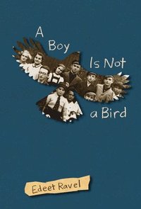 bokomslag A Boy Is Not a Bird