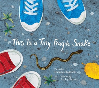Nicholas Ruddock - This Is a Tiny Fragile Snake, Inbunden