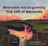 bokomslag Mnoomin maan'gowing / The Gift of Mnoomin