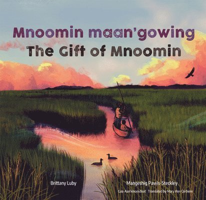 Mnoomin maan'gowing / The Gift of Mnoomin 1