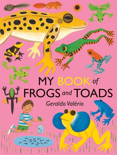 Geraldo Valério - My Book of Frogs and Toads, Inbunden