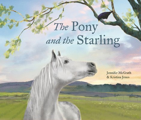 Pony and the Starling
