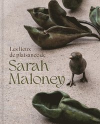 bokomslag Les Lieux De Plaisance De Sarah Maloney