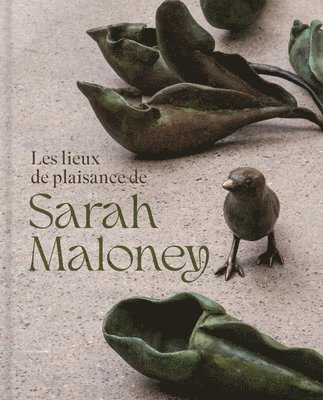 bokomslag Les lieux de plaisance de Sarah Maloney