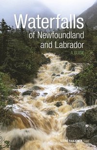 bokomslag Waterfalls of Newfoundland and Labrador: A Guide