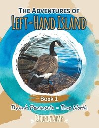 bokomslag The Adventures of Left-Hand Island