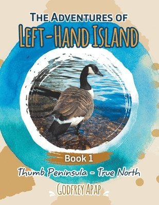 bokomslag Adventures of Left-Hand Island