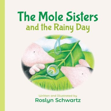bokomslag The Mole Sisters and the Rainy Day