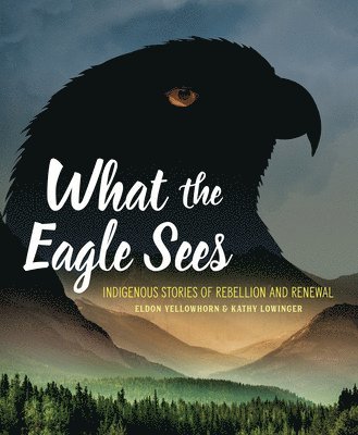 What the Eagle Sees 1