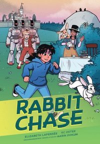 bokomslag Rabbit Chase