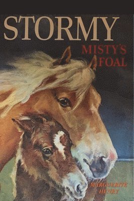 bokomslag Stormy, Misty's Foal