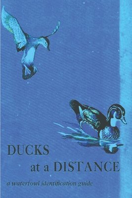 Ducks at a Distance: A Waterfowl Identification Guide 1