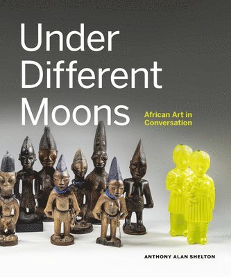 bokomslag Under Different Moons