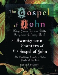 bokomslag Gospel of John