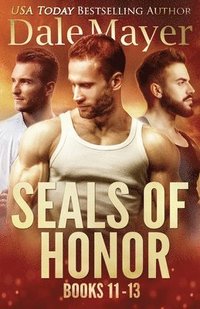bokomslag SEALs of Honor 11-13