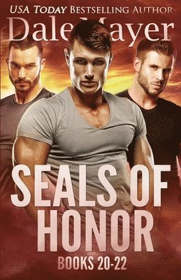 bokomslag SEALs of Honor 20-22
