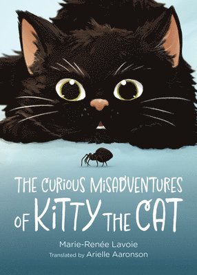 The Curious Misadventures of Kitty the Cat 1