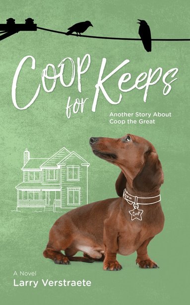 Larry Verstraete - Coop For Keeps, Häftad