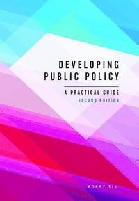 bokomslag Developing Public Policy