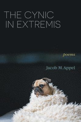Cynic in Extremis