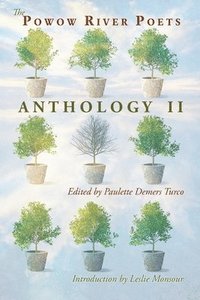 bokomslag Powow River Poets Anthology II