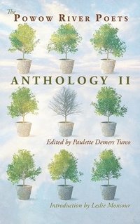 bokomslag The Powow River Poets Anthology II