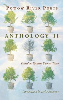 bokomslag Powow River Poets Anthology II