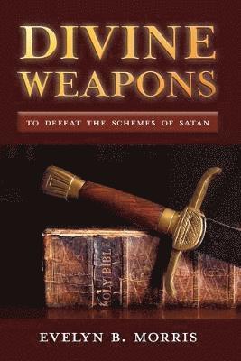 bokomslag Divine Weapons