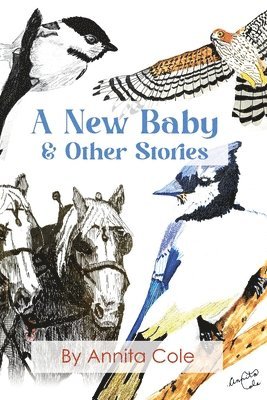 bokomslag A New Baby & Other Stories