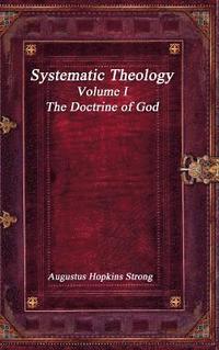 bokomslag Systematic Theology