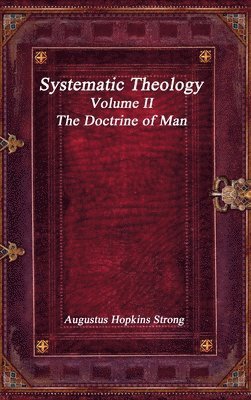 bokomslag Systematic Theology