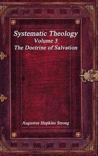 bokomslag Systematic Theology