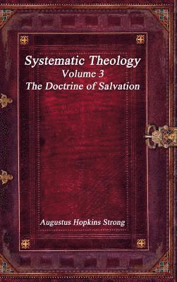 bokomslag Systematic Theology