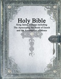 bokomslag Holy Bible