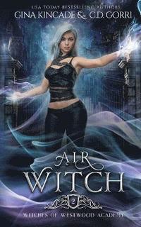 bokomslag Air Witch