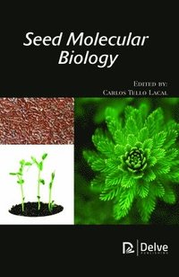 bokomslag Seed Molecular Biology