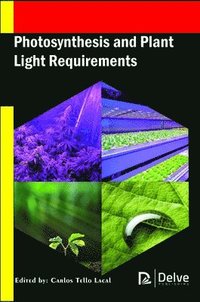 bokomslag Photosynthesis and Plant Light Requirements