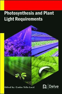 bokomslag Photosynthesis and Plant Light Requirements