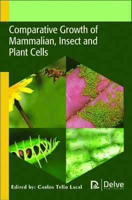 Comparative Growth of Mammalian, Insect and Plant Cells 1