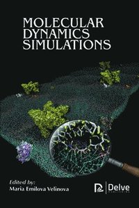 bokomslag Molecular Dynamics Simulations