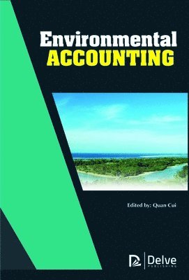 bokomslag Environmental Accounting