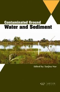 bokomslag Contaminated Ground Water and Sediment