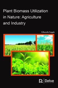 bokomslag Plant Biomass Utilization in Nature
